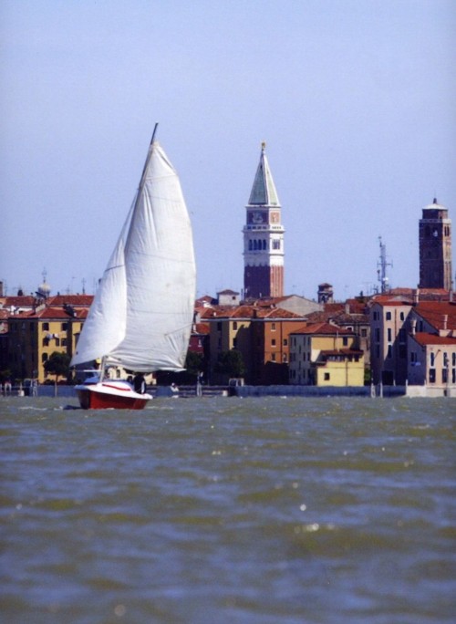 venezia velaraid