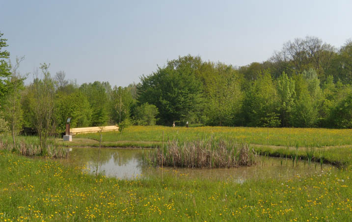 Bosco di Carpenedo