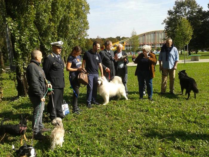 Rassegna Cinofila amatoriale