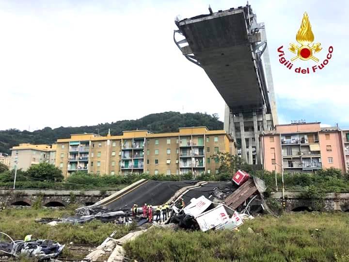 Crollo del Ponte Morandi: unità cinofile venete inviate a Genova