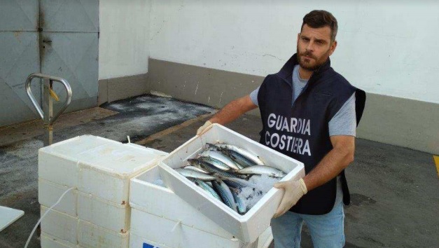 Sequestrate 4 tonnellate di prodotti ittici a Piove di Sacco