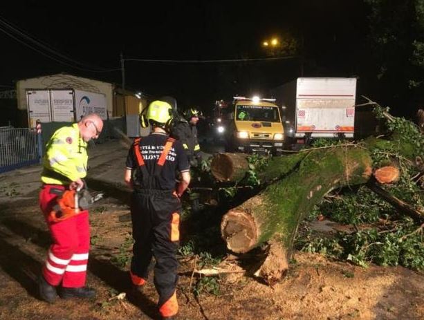 Protezione civile comunale all'opera dopo il maltempo