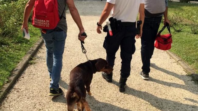 Maltratta il cane mendicante denunciato a Venezia