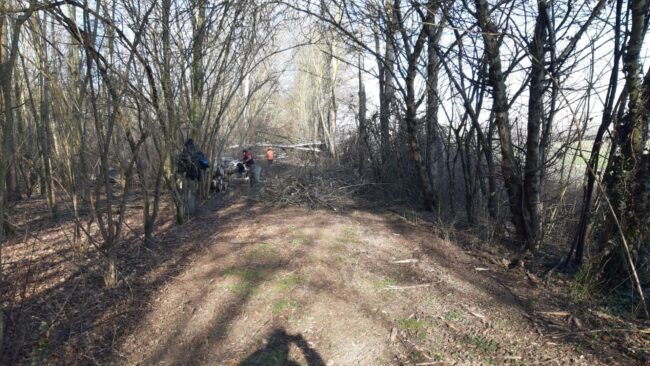 Bosco del Parauro: al via la sistemazione dei sentieri e degli alberi - Televenezia