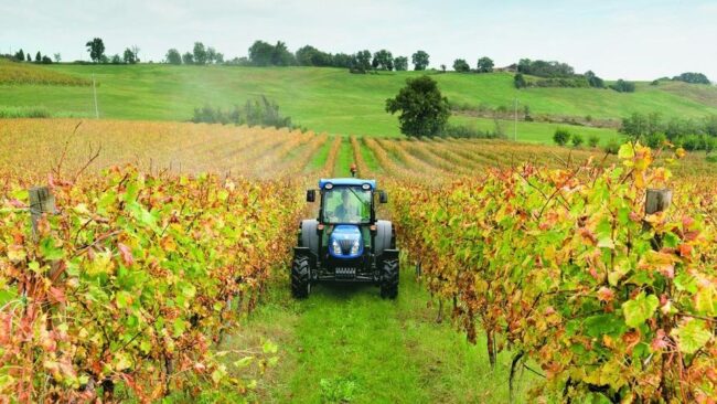 Coronavirus, Coldiretti Veneto: "Persi 50 milioni di euro al mese" - Televenezia