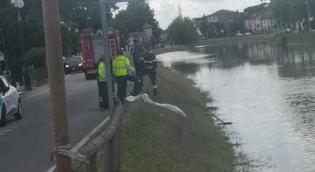 Tragedia a Mira: avvistato un cadavere nel Brenta