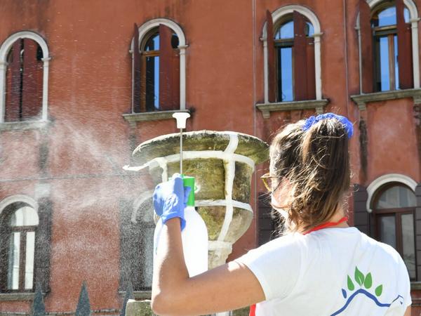 Ripulire il patrimonio artistico con un gel: dall'Università all'impresa