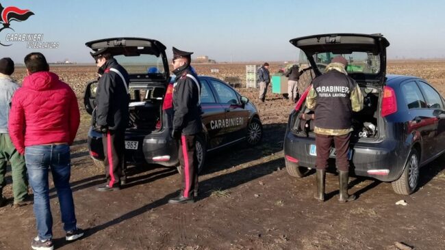 Lavoro nero: denunciato titolare di un'azienda agricola di Musile - Televenezia