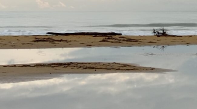 Bibione, spiaggia ripulita. Dalla regione 1,2 milioni per ripascimento