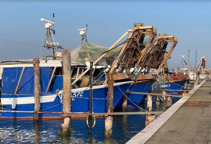 San Servolo e Città metropolitana a sostegno degli allevatori di Vongole - Televenezia