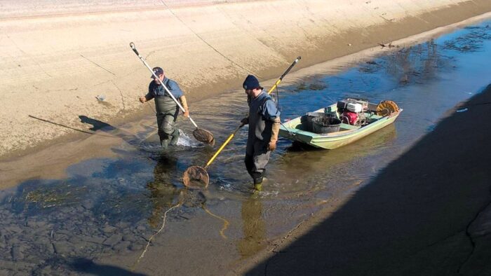 Musile di Piave: entrano in servizio le guardie ittiche