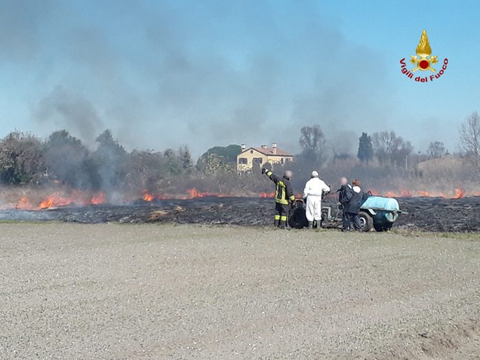 Incendio sterpaglie all'isola di Sant’Erasmo - TeleVenezia