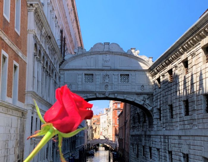 Partecipazio: origine tradizione bòcolo Festa San Marco