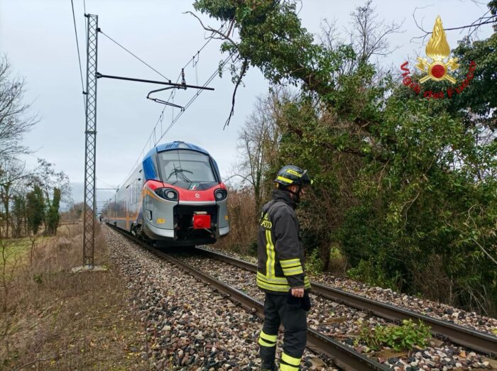 Albero cade sulla linea Venezia - Bassano: treni bloccati - Televenezia