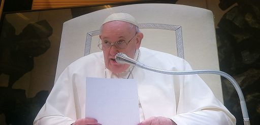 Il Papa contro la maternità surrogata e la teoria gender